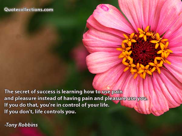 Tony Robbins Quotes5